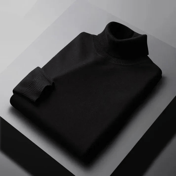 Men's Textured Turtleneck Knit Sweater