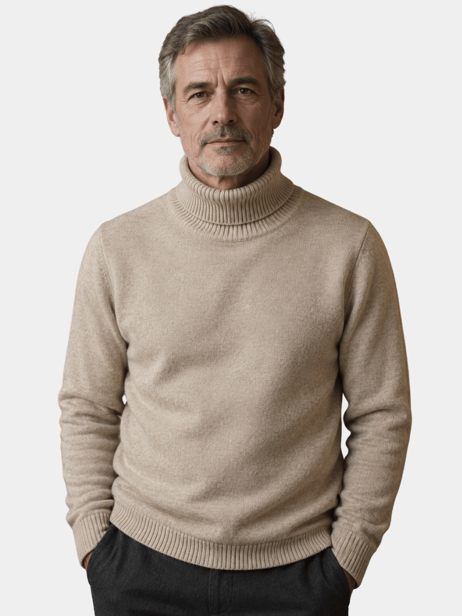 Men's Textured Turtleneck Knit Sweater